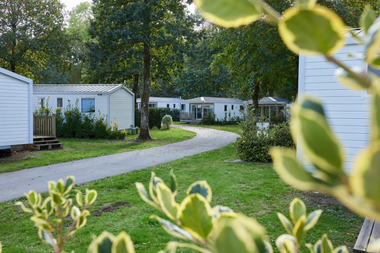 Mobil Home Xxl 4 Chambres - Camping Les Jardins Du Morbihan Monterblanc ภายนอก รูปภาพ